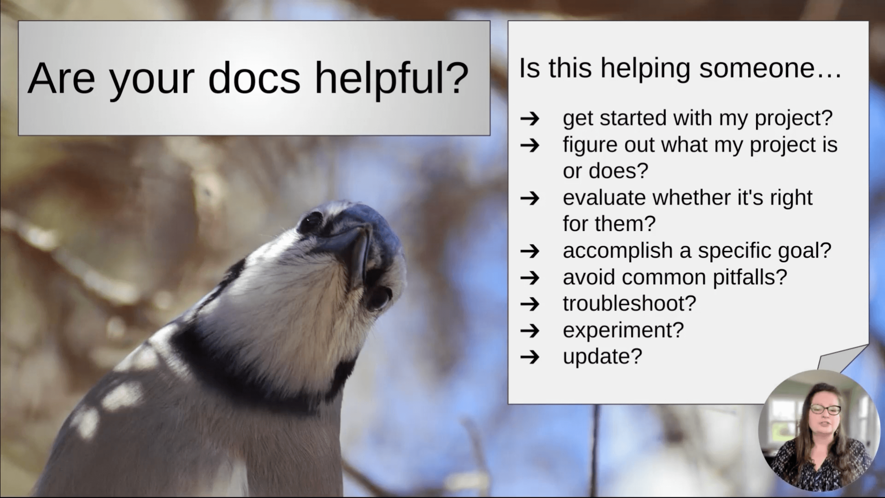 Sarah's slide with a bird as a background. The slide reads: 'Are your docs helpful? Is this helping someone get started with my project? Figure out what my project is or does? Evaluate whether it's right for them? Accomplish a specific goal? Avoid common pitfalls? Troubleshoot? Experiment? Update?